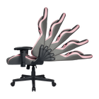 Caliber R1S Rose Gaming Chair - Rose White & Rose Gray
