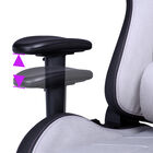 Caliber R2C Gaming Chair