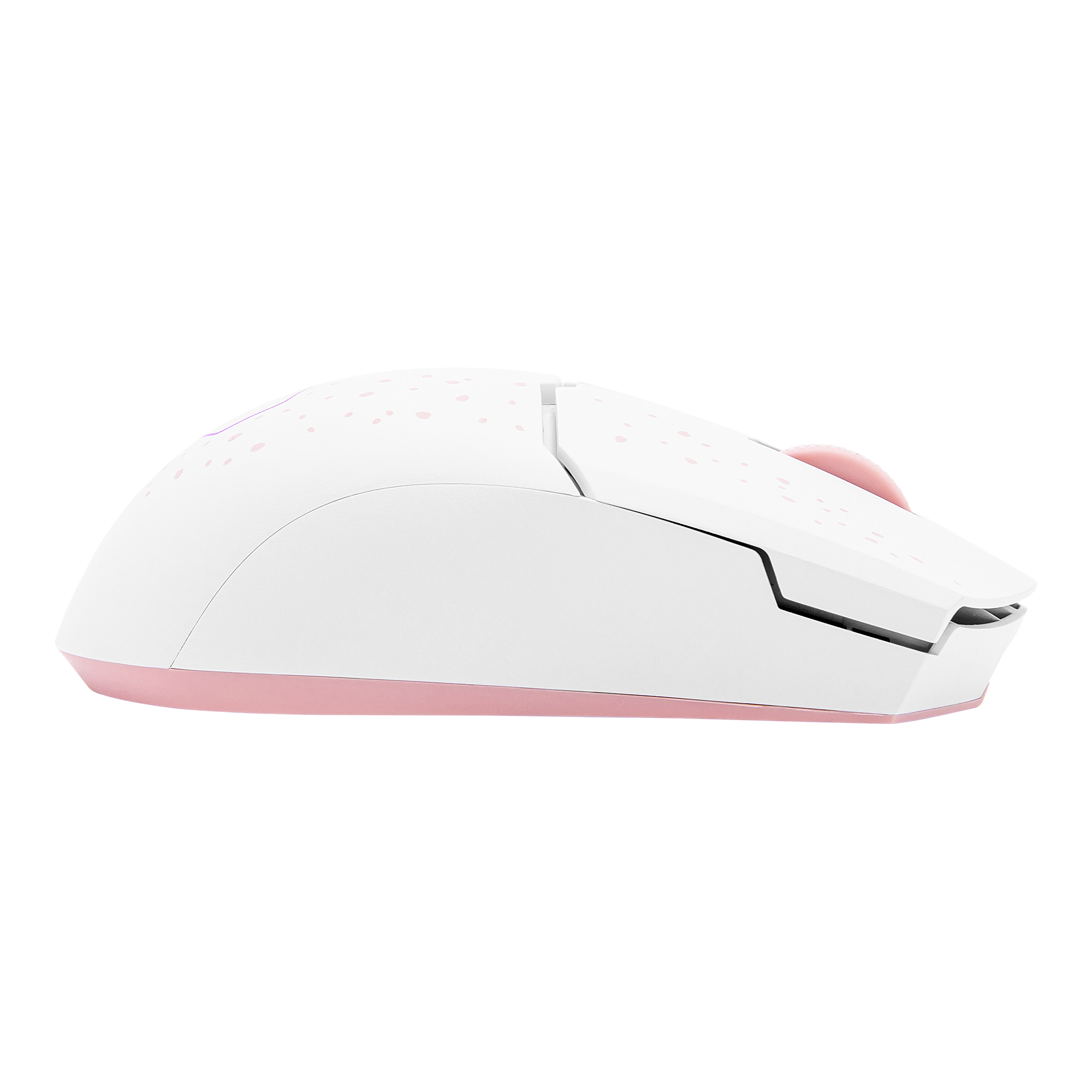 MM712 Sakura image number 3