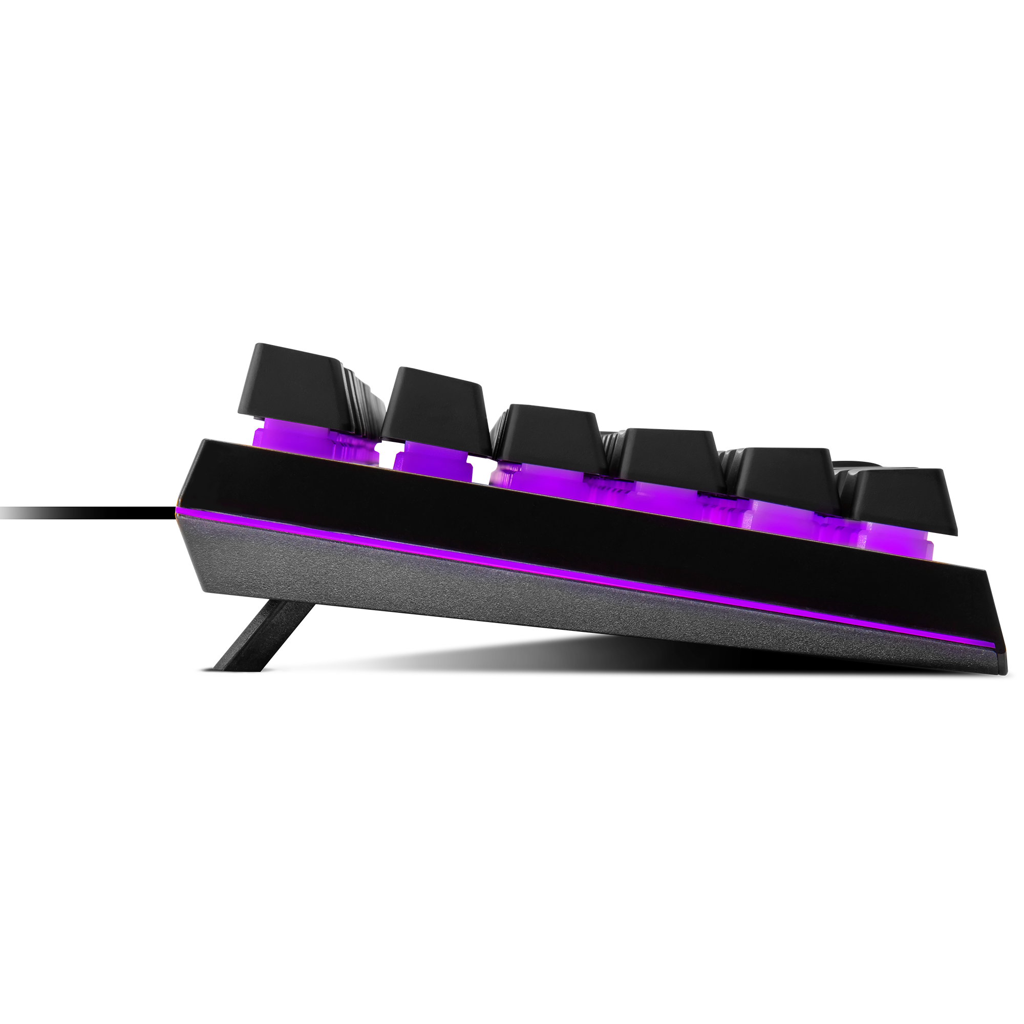 MS111 image number 5